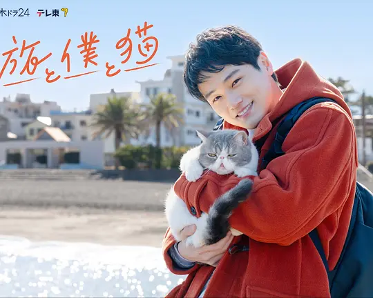 旅行和我和猫